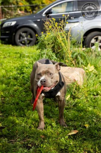 230924 VRE Erlend Staub 14